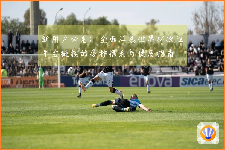 新用户必看：全面汇总世界杯投注平台链接的各种福利与使用指南