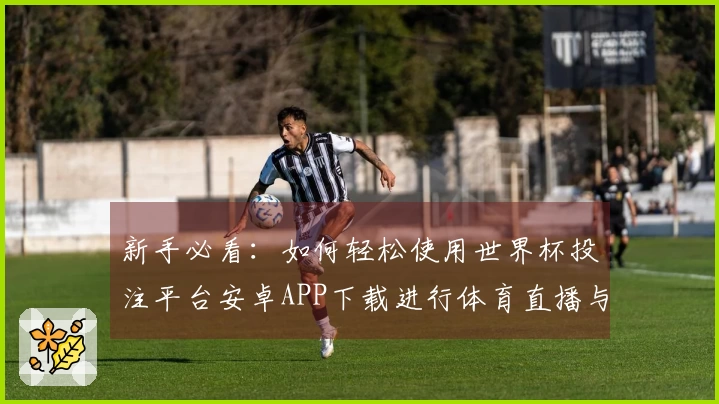 新手必看：如何轻松使用世界杯投注平台安卓APP下载进行体育直播与赛事查看