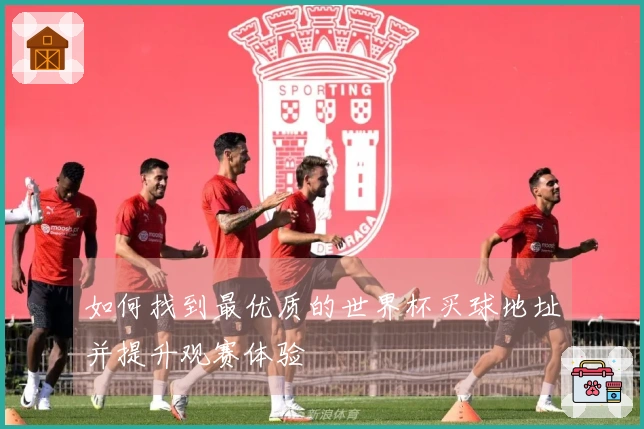如何找到最优质的世界杯买球地址并提升观赛体验