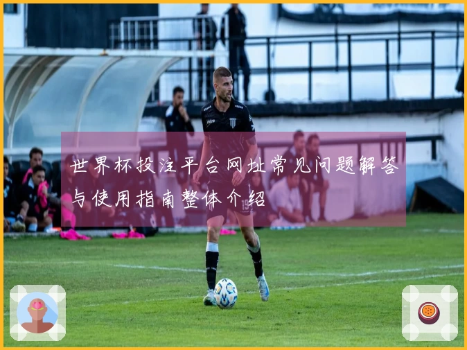 世界杯投注平台网址常见问题解答与使用指南整体介绍
