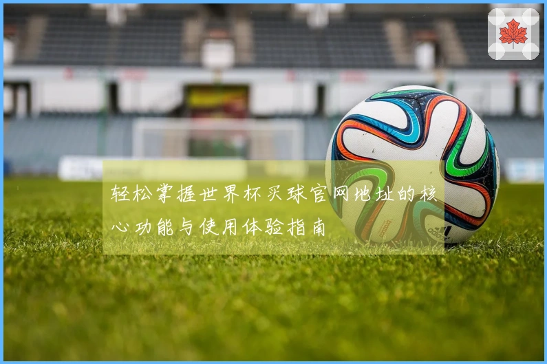 轻松掌握世界杯买球官网地址的核心功能与使用体验指南