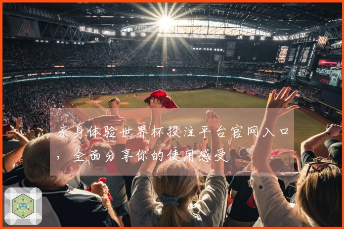 亲身体验世界杯投注平台官网入口，全面分享你的使用感受