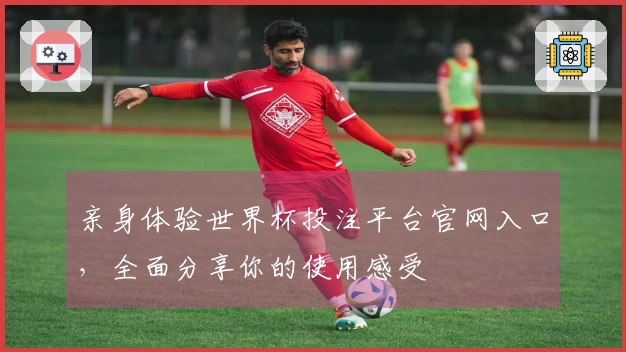 亲身体验世界杯投注平台官网入口，全面分享你的使用感受