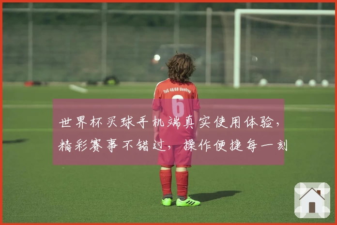 世界杯买球手机端真实使用体验，精彩赛事不错过，操作便捷每一刻