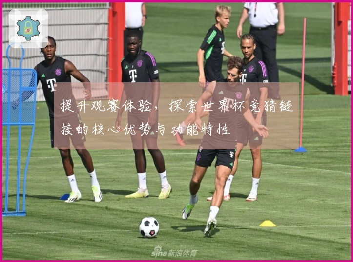 提升观赛体验，探索世界杯竞猜链接的核心优势与功能特性