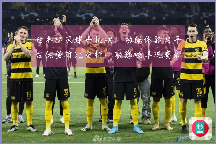 世界杯买球手机端：功能体验与平台优势对比分析，助您畅享观赛新体验