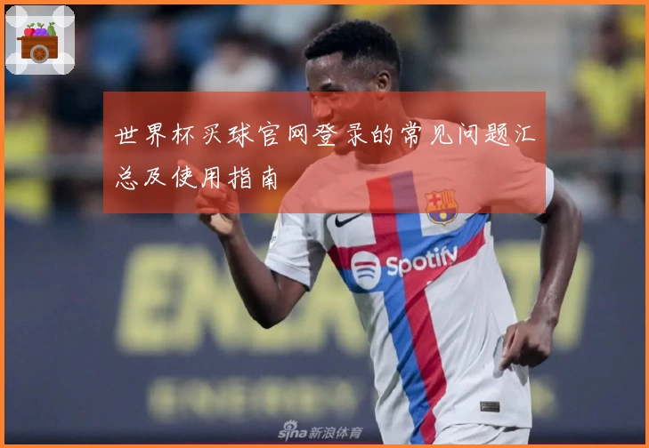 世界杯买球官网登录的常见问题汇总及使用指南