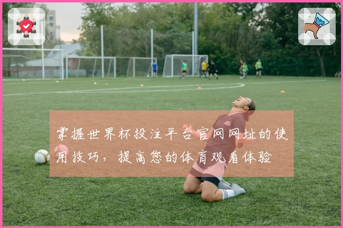 掌握世界杯投注平台官网网址的使用技巧，提高您的体育观看体验
