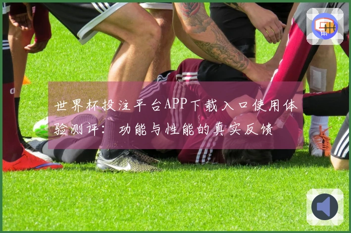 世界杯投注平台APP下载入口使用体验测评：功能与性能的真实反馈