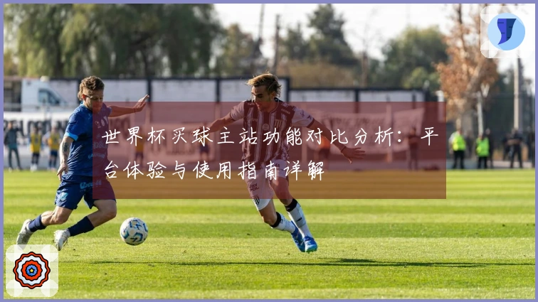 世界杯买球主站功能对比分析：平台体验与使用指南详解