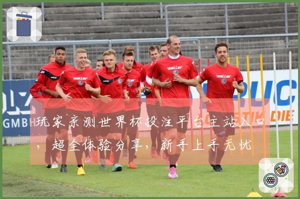 玩家亲测世界杯投注平台主站入口，超全体验分享，新手上手无忧